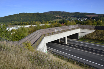 Ausgleichsmaßnahmen Kompensationsmaßnahmen Autobahnbau A44 Naturschutz Landschaftsplanung Grünbrücke Wildbrücke 62
